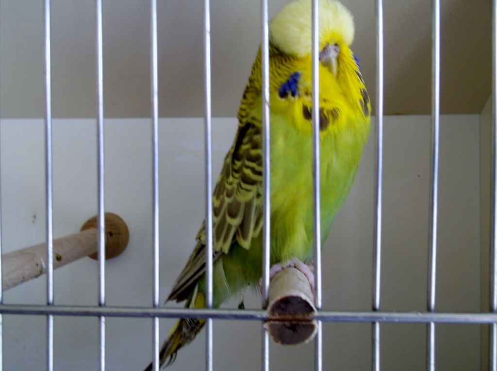 2015 025.JPG